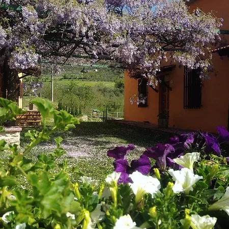 Alloggio per agriturismo I Salari *